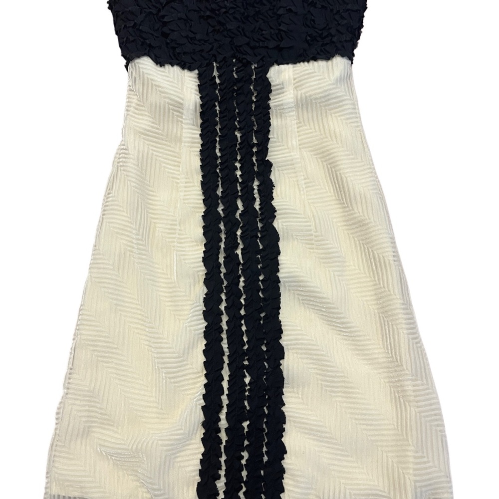 00s Chic Black and White Dress